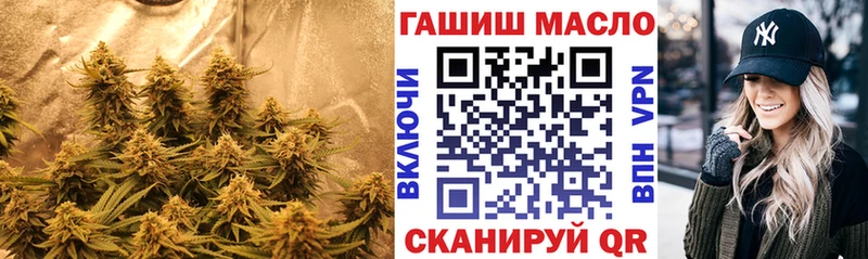 ТГК Wax  где можно купить   Олонец 
