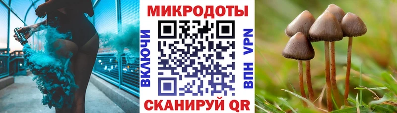 omg зеркало Олонец Псилоцибиновые грибы GOLDEN TEACHER