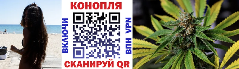 дарк нет как зайти  сколько стоит  Олонец  Конопля ГИДРОПОН 